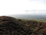 SX20977 Rampart on Moel Arthur hillfort.jpg